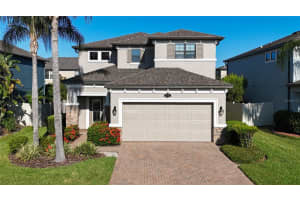 1953 Nature View Dr, LUTZ