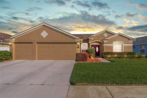 29446 ALLEGRO DRIVE, WESLEY CHAPEL, FL 33543 Sold 11/18/24