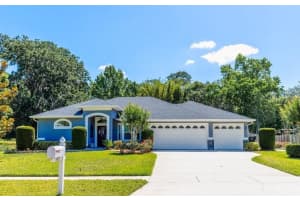 9917 COUNTRY CARRIAGE CIRCLE, RIVERVIEW, FL 33569 Sold 05/31/24