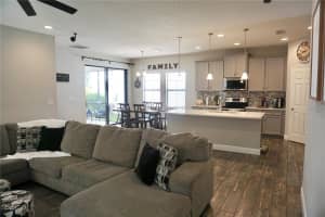 12411 TRIPLE CREEK BOULEVARD, RIVERVIEW, FL 33579 Sold 05/30/25