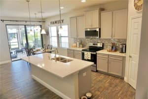 12411 TRIPLE CREEK BOULEVARD, RIVERVIEW, FL 33579 Sold 05/30/25