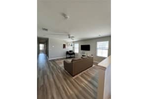 12411 TRIPLE CREEK BOULEVARD, RIVERVIEW, FL 33579 Sold 05/30/25