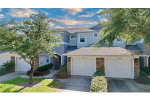 19245 STONE HEDGE DRIVE, TAMPA, FL 33647 Sold 06/10/24