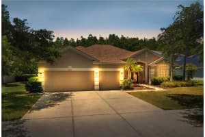18310 BANKSTON PLACE, TAMPA, FL 33647 Sold 06/28/24