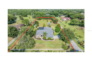17109 BROWN ROAD, ODESSA, FL 33556 Sold 11/08/24
