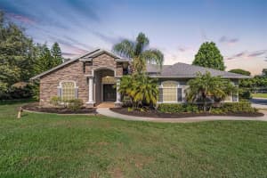 17109 BROWN ROAD, ODESSA, FL 33556 Sold 11/08/24