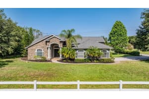 17109 BROWN ROAD, ODESSA, FL 33556 Sold 11/08/24