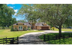 18413 30TH STREET, LUTZ, FL 33559 Sold 12/23/24