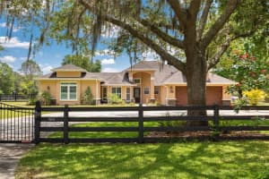 18413 30TH STREET, LUTZ, FL 33559 Sold 12/23/24