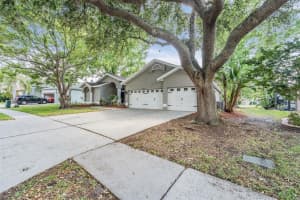 4348 RIDGEMOOR DRIVE, PALM HARBOR, FL 34685 Sold 07/15/24