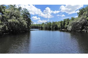 511 RIVERHILLS DRIVE, TEMPLE TERRACE, FL 33617 Sold 12/16/24