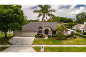 17302 CARRIAGE WAY, ODESSA, FL 33556 Sold 07/10/24