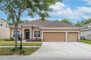 11717 SUMMER SPRINGS DRIVE, RIVERVIEW, FL 33579 Sold 06/11/24