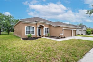 11717 SUMMER SPRINGS DRIVE, RIVERVIEW, FL 33579 Sold 06/11/24