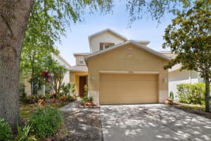 17539 BALMAHA DRIVE, LAND O LAKES, FL 34638 Sold 08/15/25