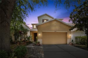 17539 BALMAHA DRIVE, LAND O LAKES, FL 34638 Sold 08/15/25