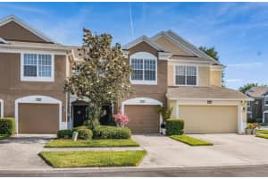 10230 PINK PALMATA COURT, RIVERVIEW, FL 33578 Sold 07/09/24