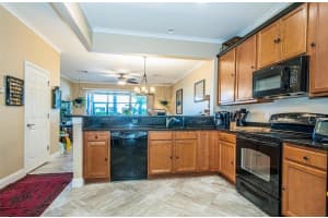 10230 PINK PALMATA COURT, RIVERVIEW, FL 33578 Sold 07/09/24