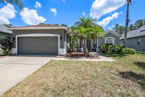 19211 PELICAN RIDGE LANE, TAMPA, FL 33647 Sold 06/18/25