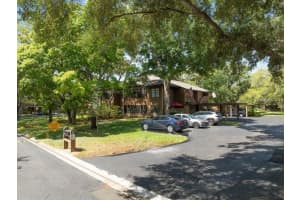 2003 LENNOX ROAD, PALM HARBOR, FL 34683 Sold 10/31/24
