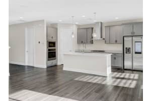 13605 OSPREY FERN LANE, RIVERVIEW, FL 33569 Sold 12/23/24