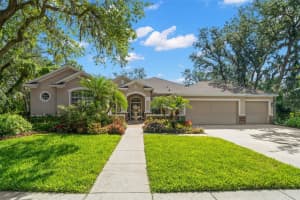 15921 SORAWATER DRIVE, LITHIA, FL 33547 Sold 04/28/25