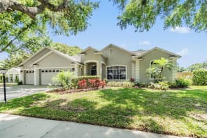 3907 ROLLING TERRACE LANE, VALRICO, FL 33596 Sold 07/22/24