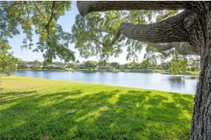 17038 WINNERS CIRCLE, ODESSA, FL 33556 Sold 06/20/24