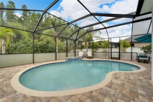 19478 PADDOCK VIEW DRIVE, TAMPA, FL 33647 Sold 06/11/24