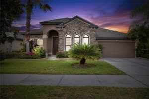 14214 ALISTAR MANOR DRIVE, WIMAUMA, FL 33598 Sold 09/03/24