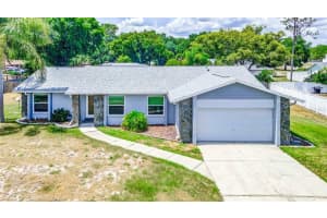 23221 CASCADE PLACE, LAND O LAKES, FL 34639 Sold 06/14/24