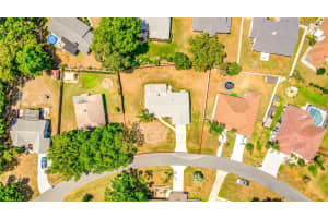 23221 CASCADE PLACE, LAND O LAKES, FL 34639 Sold 06/14/24