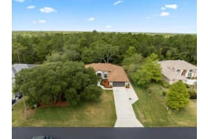 10168 FEATHER RIDGE DRIVE, WEEKI WACHEE, FL 34613 Sold 09/06/24