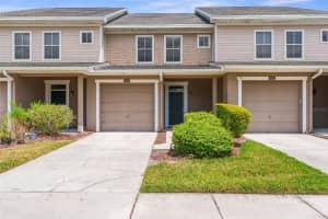 5823 LEOPARDSTOWN DRIVE, TAMPA, FL 33610 Sold 06/07/24