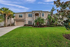 17331 CHELSEA DOWNS CIR, LITHIA, FL 33547 Sold 07/12/24
