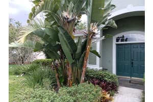 625 FIELDSTREAM BOULEVARD, ORLANDO, FL 32825 Sold 06/04/24