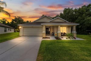 34515 CLIFFCREEK COURT, WESLEY CHAPEL, FL 33545 Sold 07/03/24