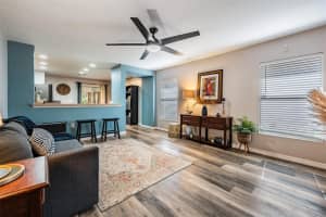 18910 PARAPET PLACE, LAND O LAKES, FL 34638 Sold 06/14/24