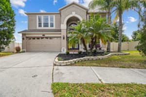 20233 STILL WIND DRIVE, TAMPA, FL 33647 Sold 05/09/25