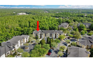 5125 PALM SPRINGS BOULEVARD, TAMPA, FL 33647 Sold 11/20/24