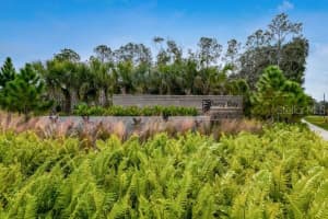5082 BROMELIAD AVENUE, WIMAUMA, FL 33598 Sold 11/08/24