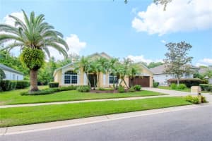 18806 CHEMILLE DRIVE, LUTZ, FL 33558 Sold 06/13/24