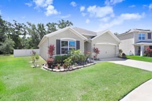 11904 MYRTLE ROCK DRIVE, RIVERVIEW, FL 33578 Sold 12/16/24