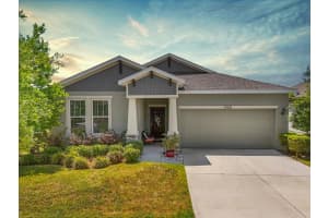 11931 BAHIA VALLEY DRIVE, RIVERVIEW, FL 33579 Sold 12/09/24