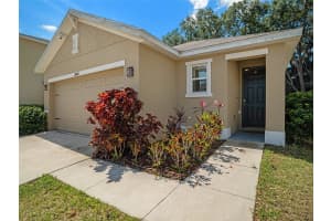 3505 WINTERBERRY LANE, VALRICO, FL 33594 Sold 05/28/24