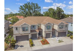 6715 CITRUS CREEK LANE, TAMPA, FL 33625 Sold 08/09/24