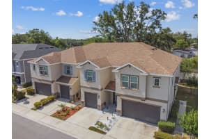6715 CITRUS CREEK LANE, TAMPA, FL 33625 Sold 08/09/24