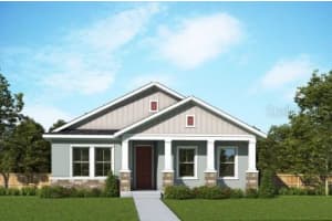 28646 SWEET PERSIMMON DRIVE, WESLEY CHAPEL, FL 33543 Sold 12/13/24