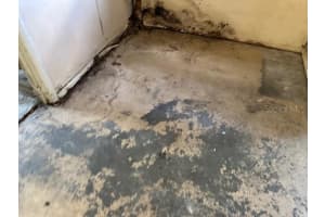 207 MELODY LANE, LARGO, FL 33771 Sold 11/06/24