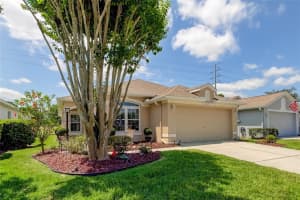 2949 BANYAN HILL LANE, LAND O LAKES, FL 34639 Sold 07/25/24